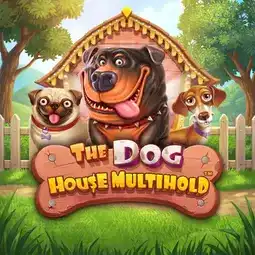 The Dog House Multihold game at Magic Win Casino for United Kingdom players